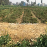 Bhumimitra Property In Gaya