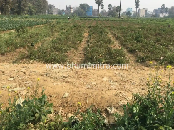 Bhumimitra Property In Gaya
