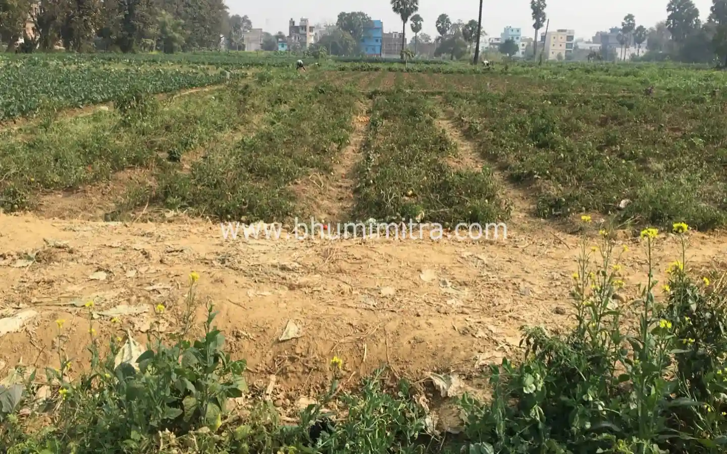 Bhumimitra Property In Gaya