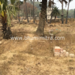 Bhumimitra Property In Gaya