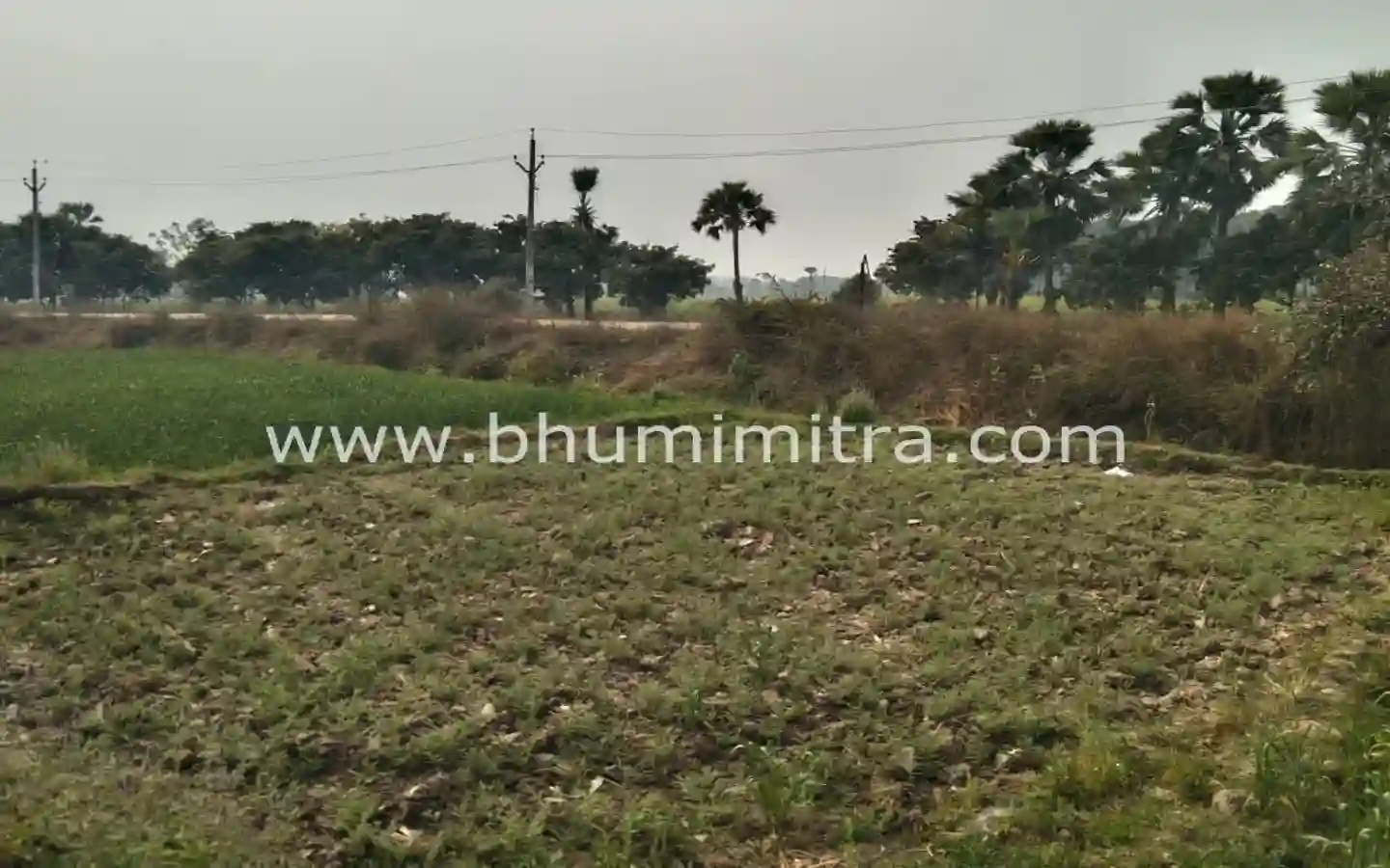 Bhumimitra Property In Gaya