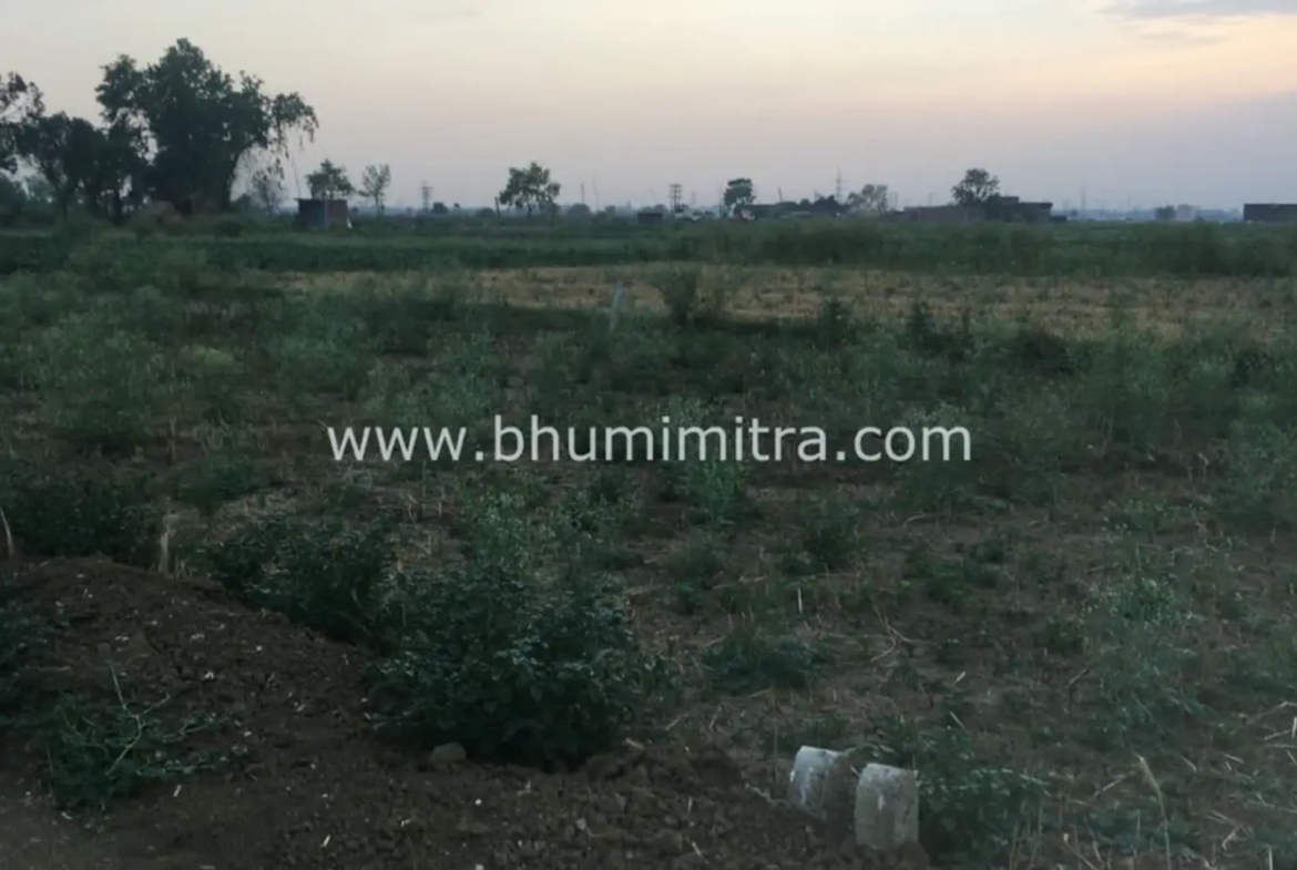 Bhumimitra Property