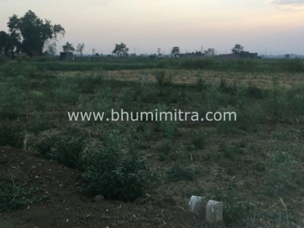 Bhumimitra Property