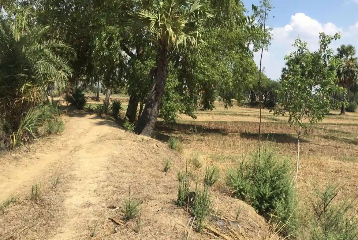 Bhumimitra Property In Gaya