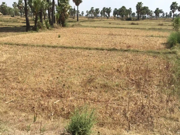 residential property near gaya