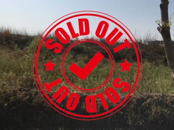 residential property in delha