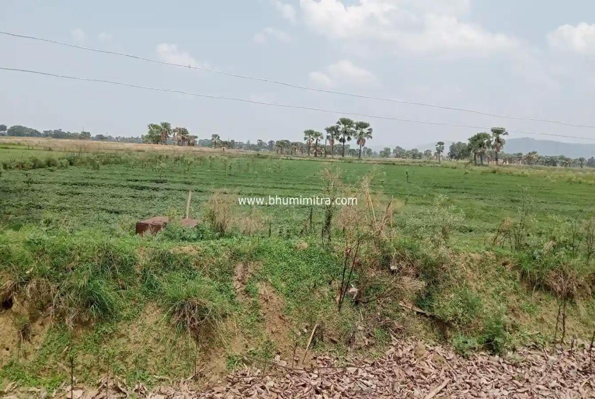 Rajgir Bihar Real Estate | Brokerage-Free Website | Property Listings | Land | Plot | Residential