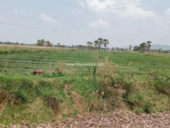 Rajgir Bihar Real Estate | Brokerage-Free Website | Property Listings | Land | Plot | Residential