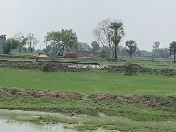 Rajgir Bihar Real Estate | Brokerage-Free Website | Property Listings | Land | Plot | Residential