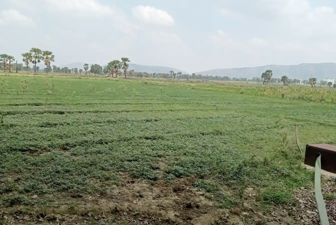 Gaya Bihar Real Estate | Brokerage-Free Website | Property Listings | Land | Plot | Residential