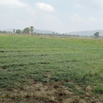 Gaya Bihar Real Estate | Brokerage-Free Website | Property Listings | Land | Plot | Residential