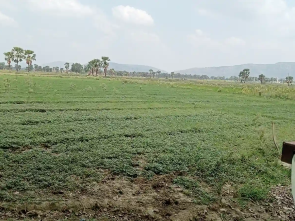 Gaya Bihar Real Estate | Brokerage-Free Website | Property Listings | Land | Plot | Residential