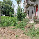 property in delha GAYA