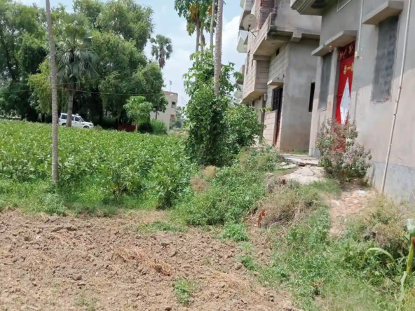 property in delha GAYA