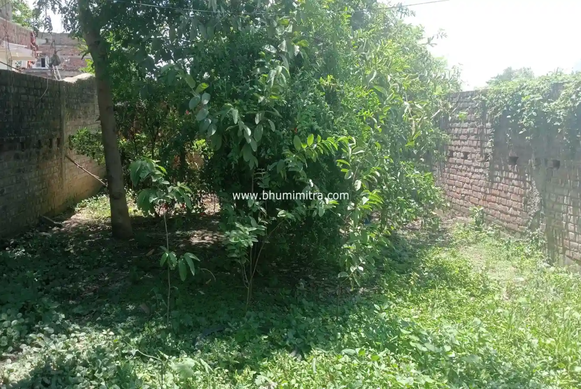 plot in bodhgaya