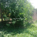 plot in bodhgaya