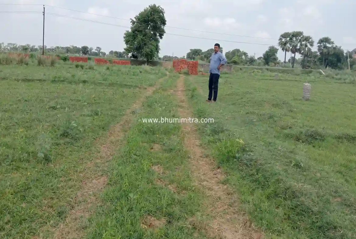 property in rajgir