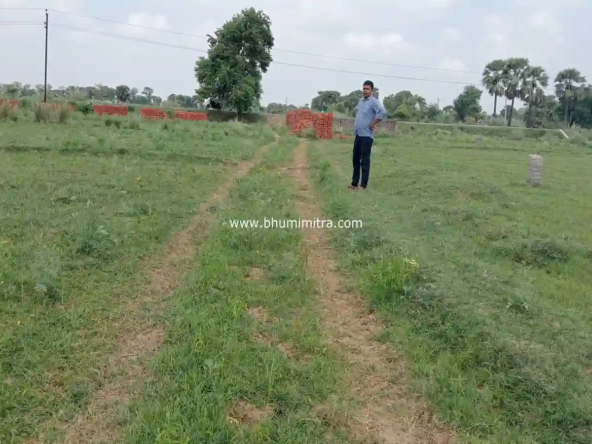 property in rajgir