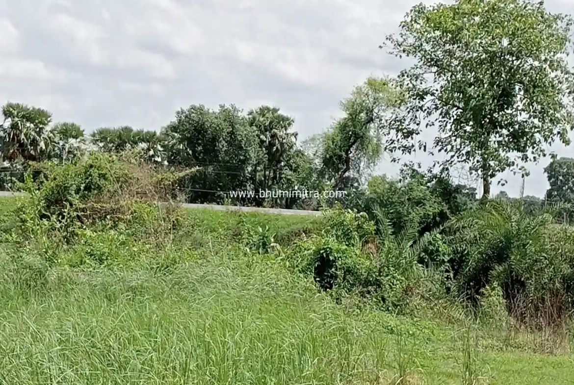 property near central university