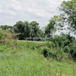 property near central university