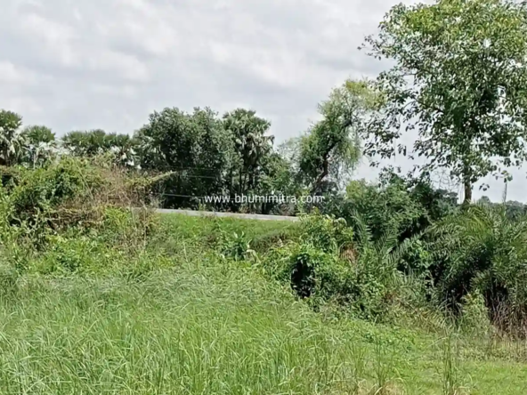 property near central university