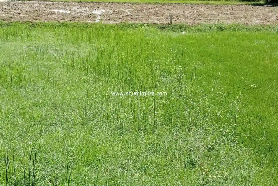 property in delha gaya