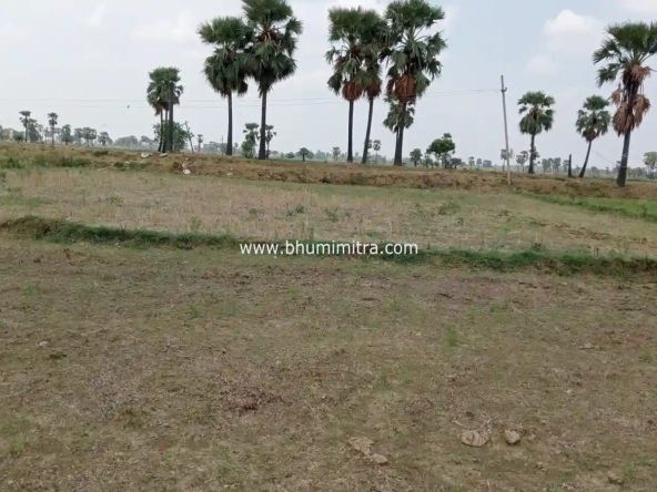 Rajgir Bihar Real Estate | Brokerage-Free Website | Property Listings | Land | Plot | Residential