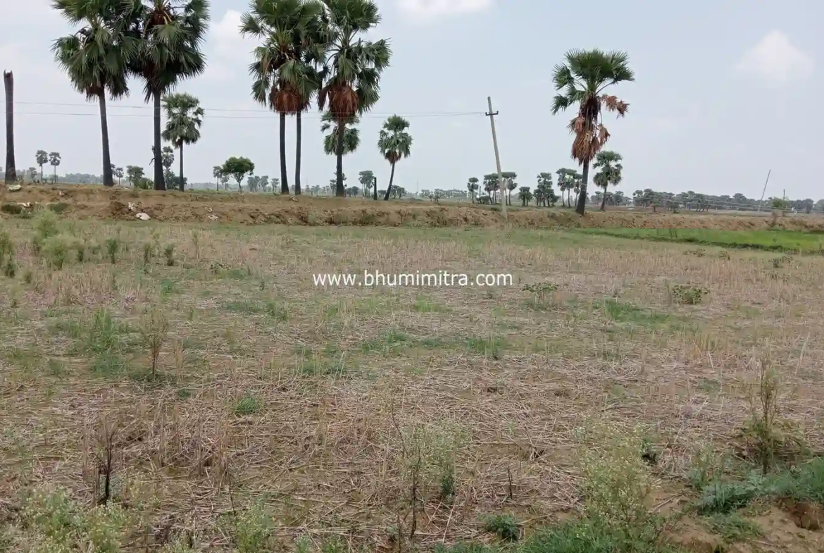 Rajgir Bihar Real Estate | Brokerage-Free Website | Property Listings | Land | Plot | Residential