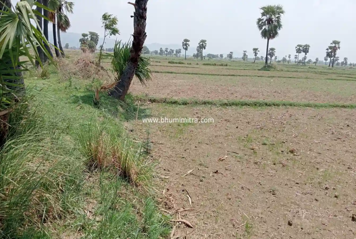 Rajgir Bihar Real Estate | Brokerage-Free Website | Property Listings | Land | Plot | Residential