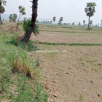 Rajgir Bihar Real Estate | Brokerage-Free Website | Property Listings | Land | Plot | Residential