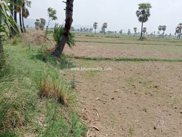 Rajgir Bihar Real Estate | Brokerage-Free Website | Property Listings | Land | Plot | Residential