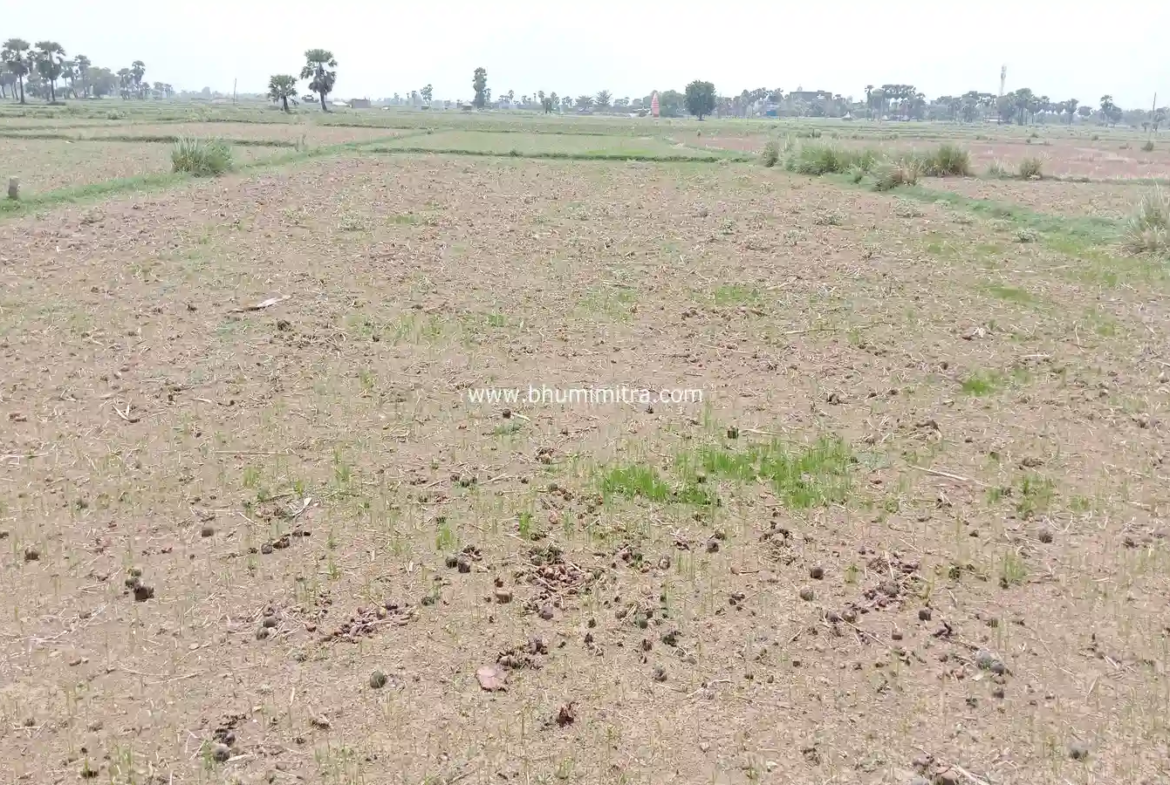 Rajgir Bihar Real Estate | Brokerage-Free Website | Property Listings | Land | Plot | Residential