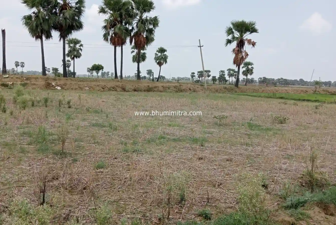 Rajgir Bihar Real Estate | Brokerage-Free Website | Property Listings | Land | Plot | Residential