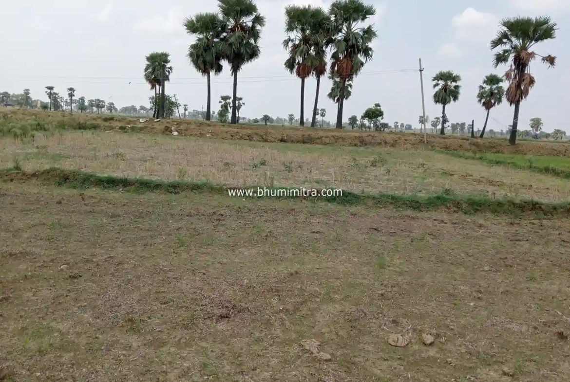 Rajgir Bihar Real Estate | Brokerage-Free Website | Property Listings | Land | Plot | Residential