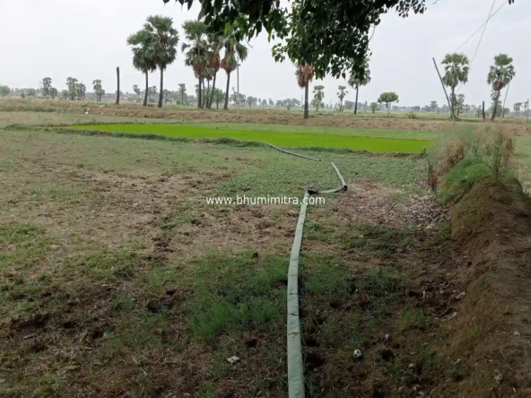 Rajgir Bihar Real Estate | Brokerage-Free Website | Property Listings | Land | Plot | Residential