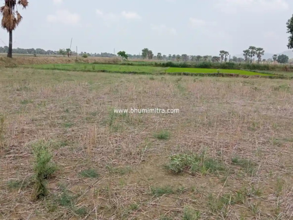 Rajgir Bihar Real Estate | Brokerage-Free Website | Property Listings | Land | Plot | Residential