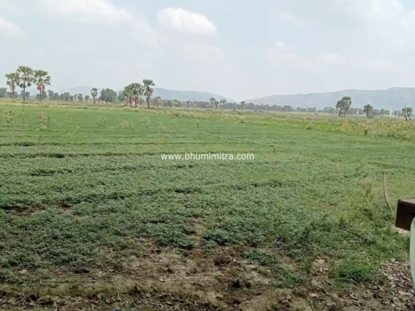 Rajgir Bihar Real Estate | Brokerage-Free Website | Property Listings | Land | Plot | Residential