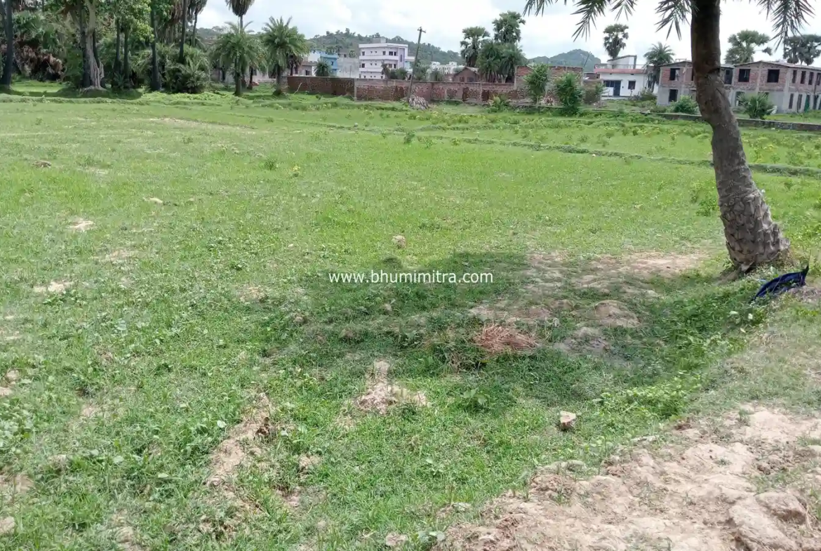 bhumimitra property